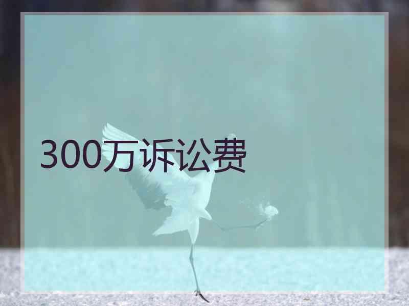 300万诉讼费