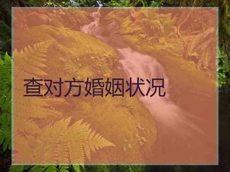 查对方婚姻状况