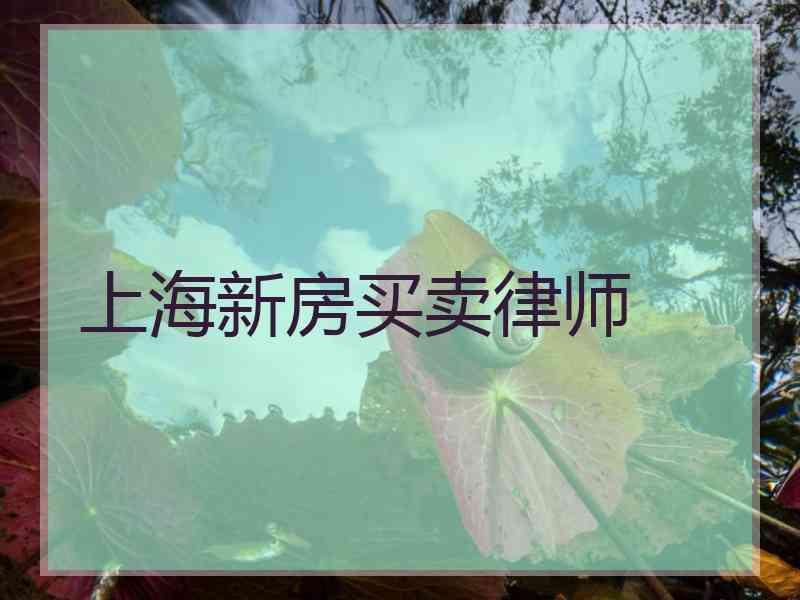 上海新房买卖律师