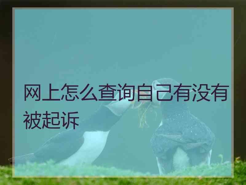 网上怎么查询自己有没有被起诉