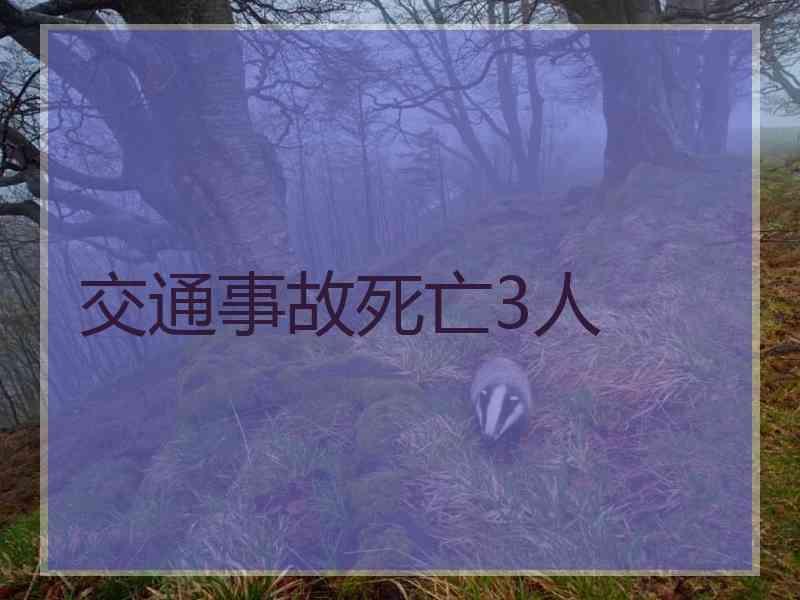 交通事故死亡3人