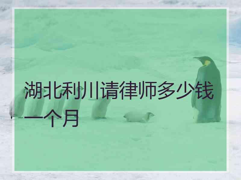 湖北利川请律师多少钱一个月