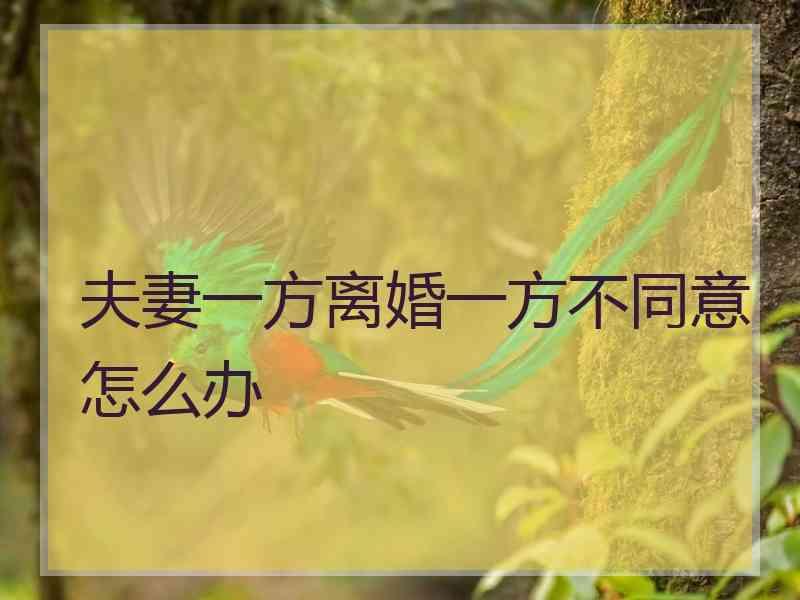 夫妻一方离婚一方不同意怎么办