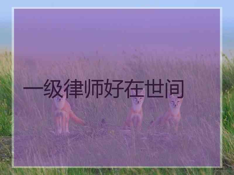 一级律师好在世间