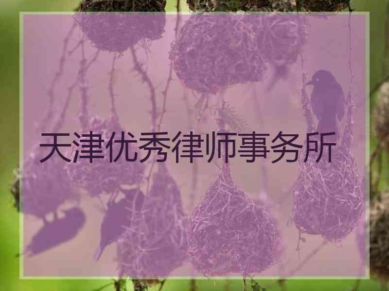 天津优秀律师事务所