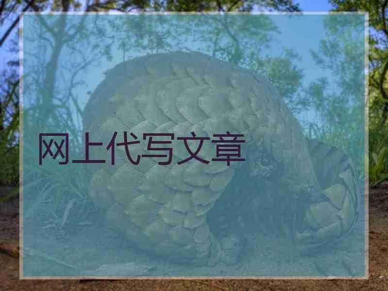 网上代写文章