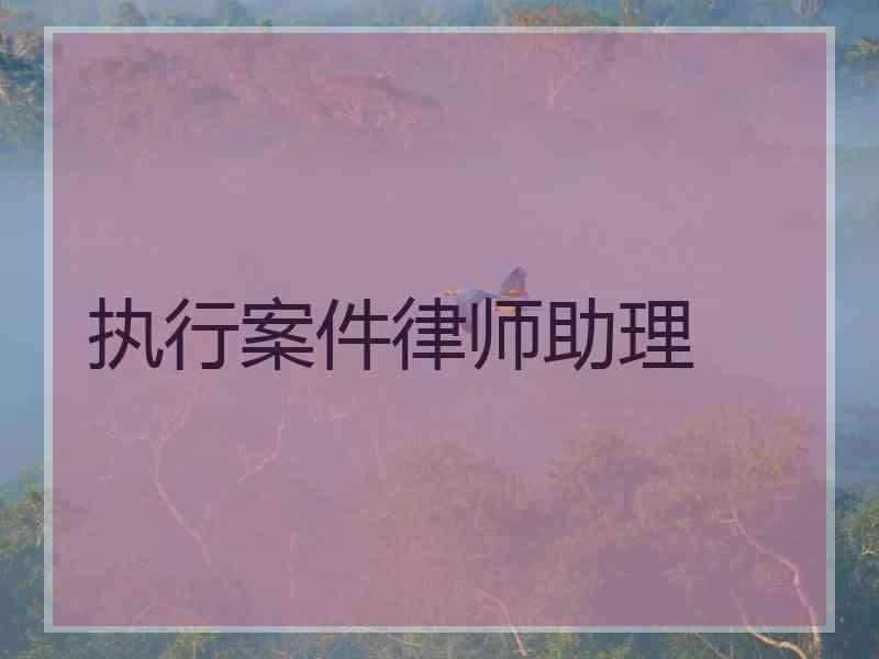 执行案件律师助理