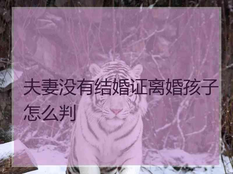 夫妻没有结婚证离婚孩子怎么判