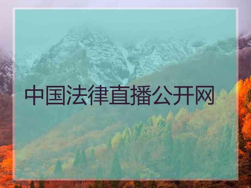 中国法律直播公开网