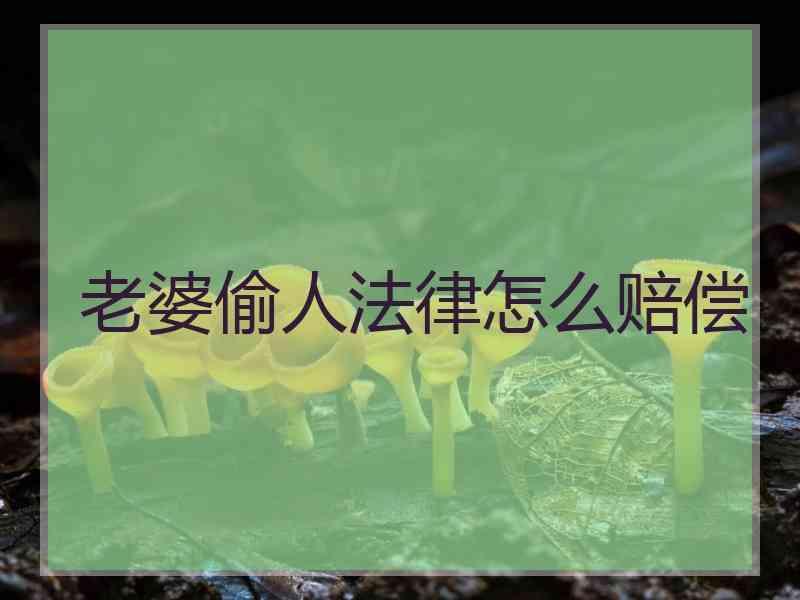 老婆偷人法律怎么赔偿