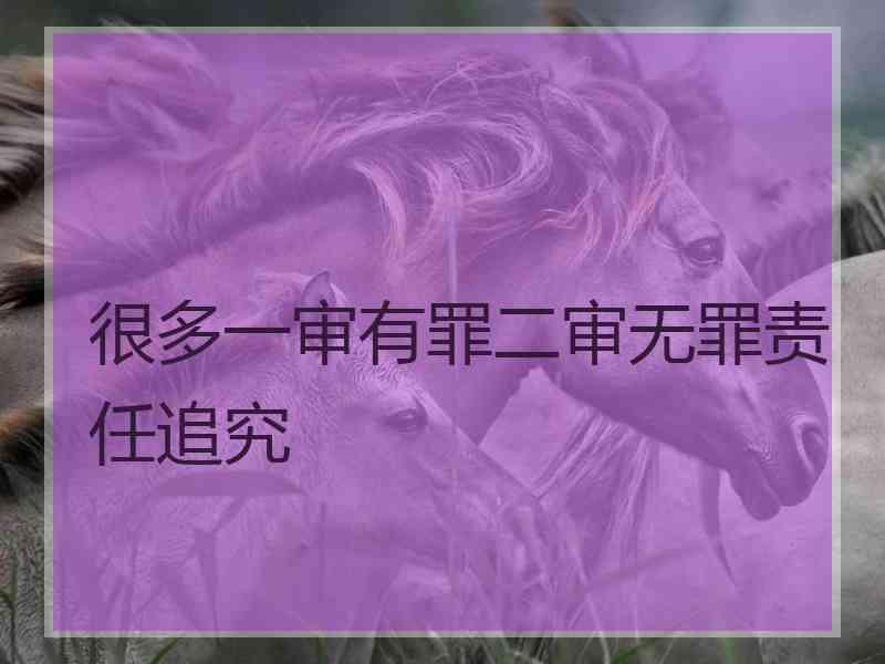 很多一审有罪二审无罪责任追究