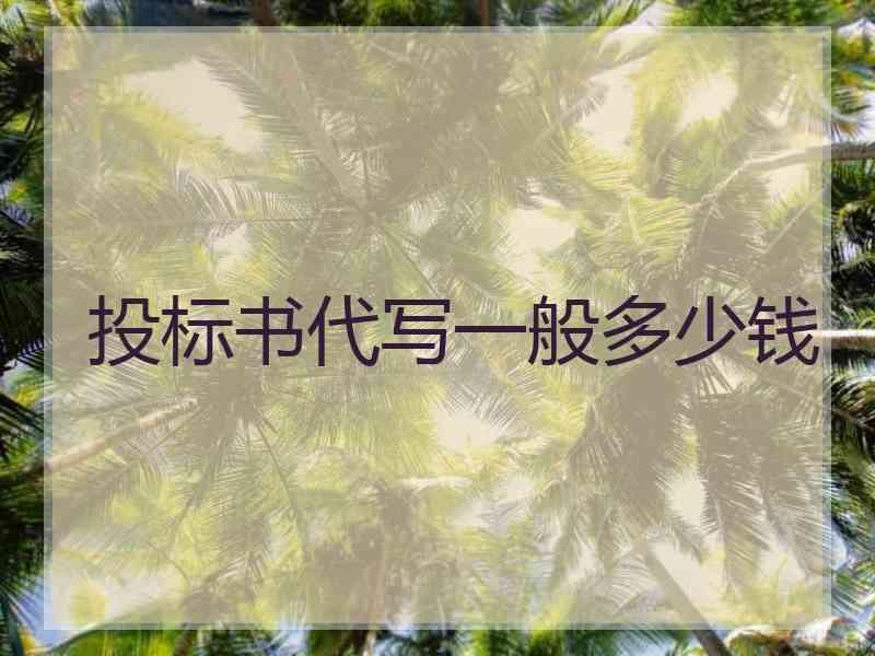 投标书代写一般多少钱