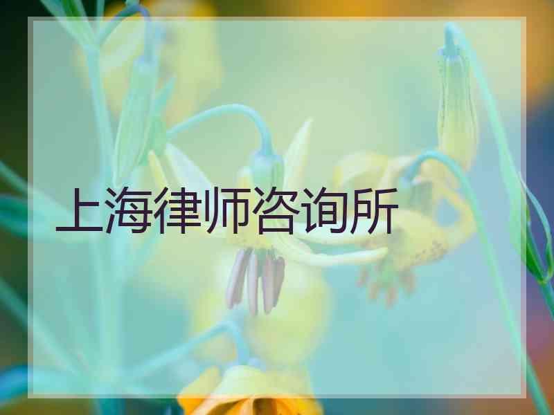 上海律师咨询所