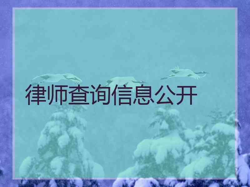 律师查询信息公开