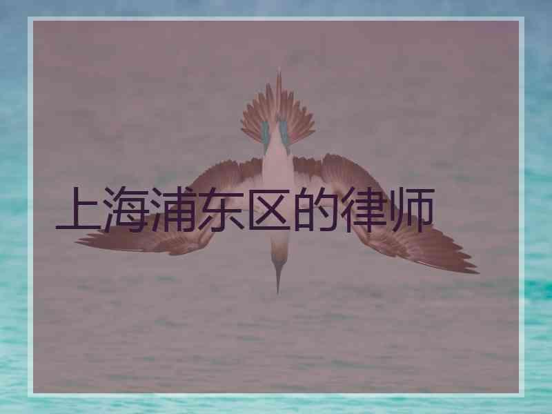 上海浦东区的律师