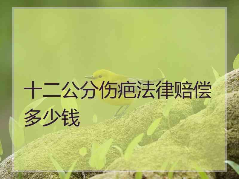 十二公分伤疤法律赔偿多少钱