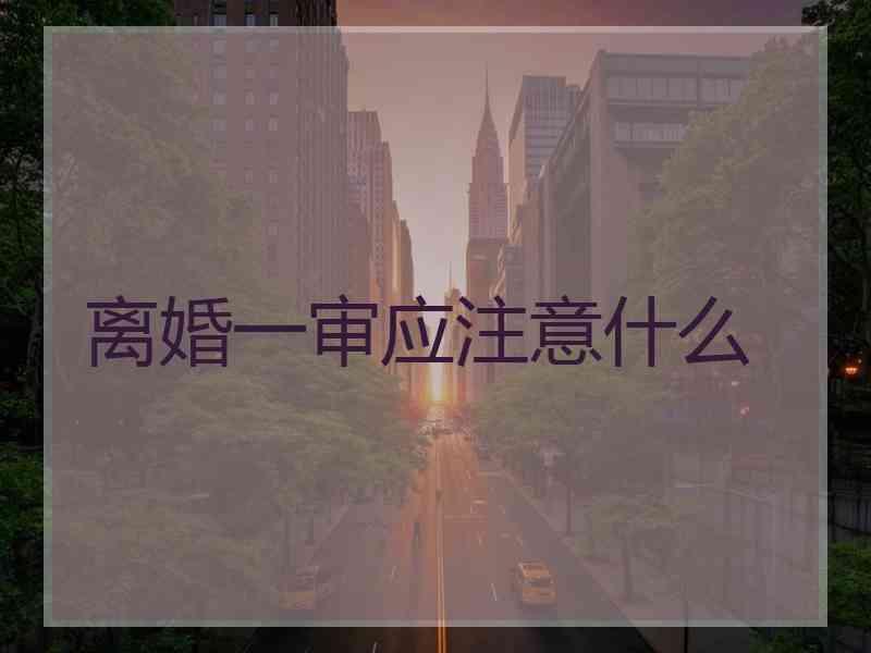 离婚一审应注意什么