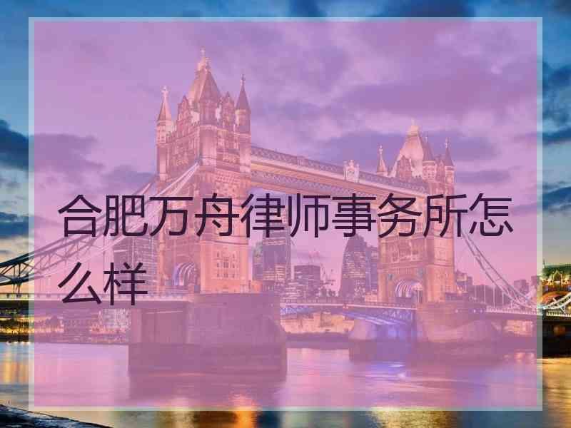 合肥万舟律师事务所怎么样
