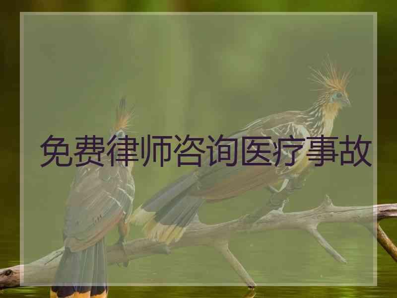 免费律师咨询医疗事故