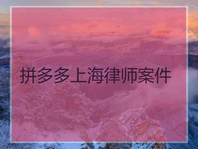 拼多多上海律师案件