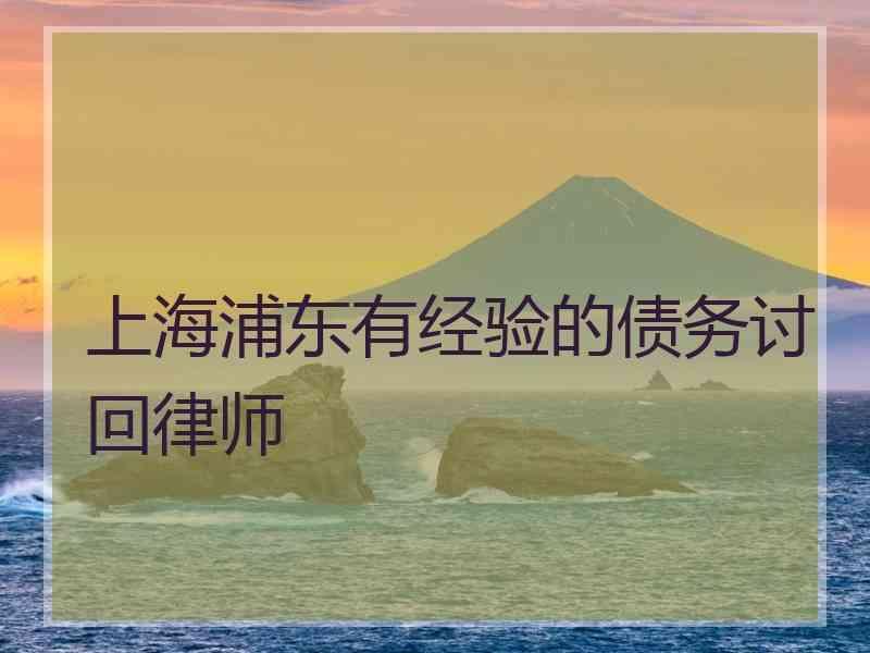 上海浦东有经验的债务讨回律师