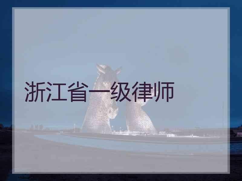 浙江省一级律师