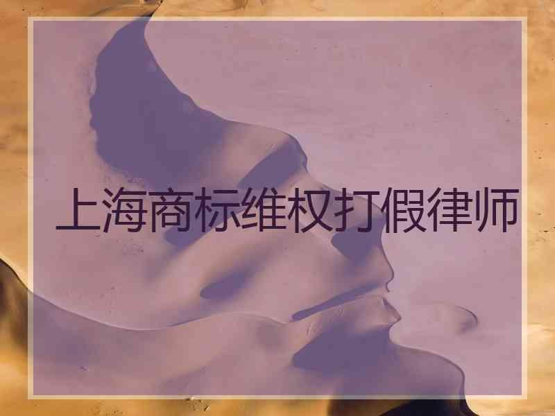 上海商标维权打假律师