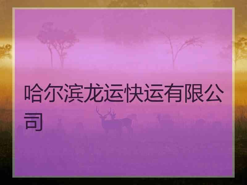 哈尔滨龙运快运有限公司