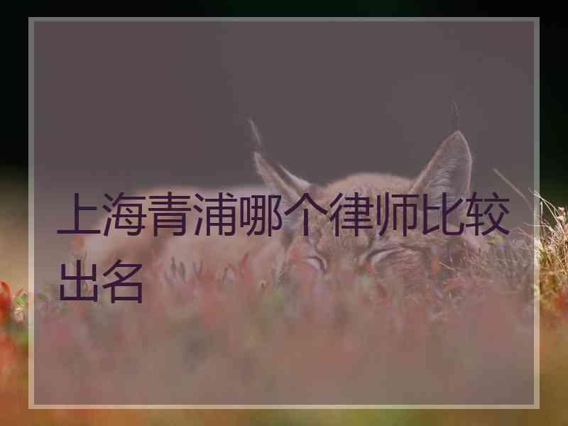 上海青浦哪个律师比较出名