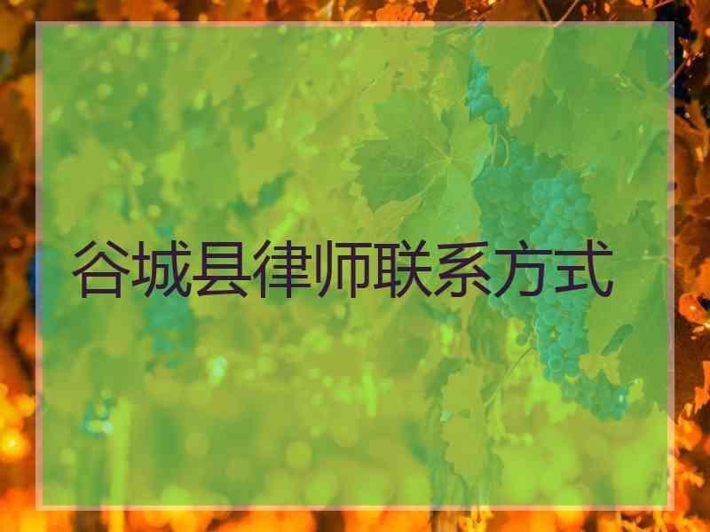 谷城县律师联系方式