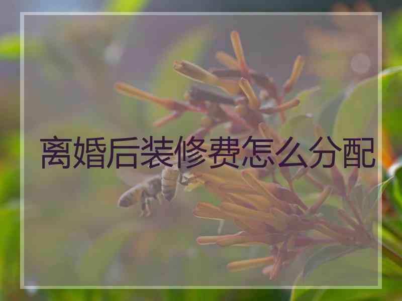 离婚后装修费怎么分配