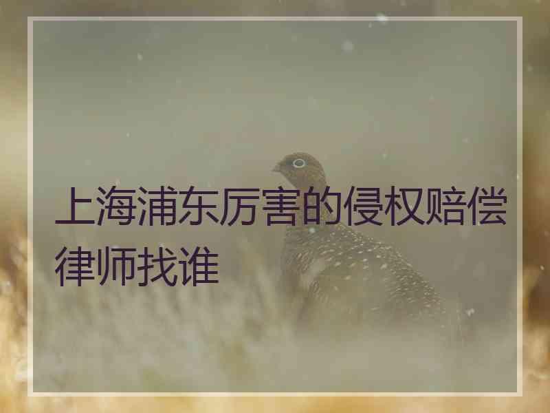 上海浦东厉害的侵权赔偿律师找谁