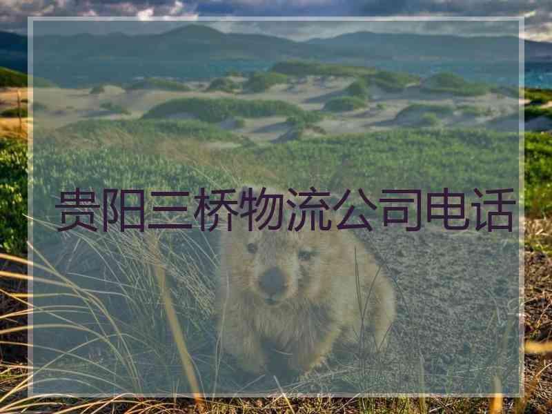 贵阳三桥物流公司电话