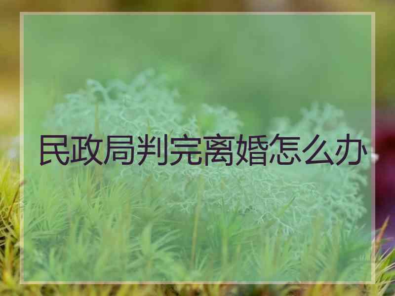 民政局判完离婚怎么办