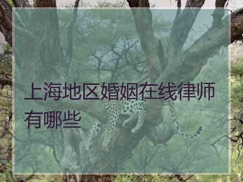 上海地区婚姻在线律师有哪些