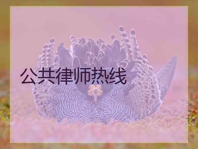 公共律师热线