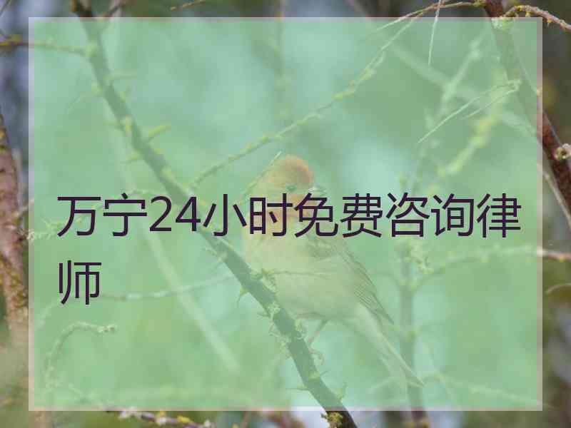 万宁24小时免费咨询律师