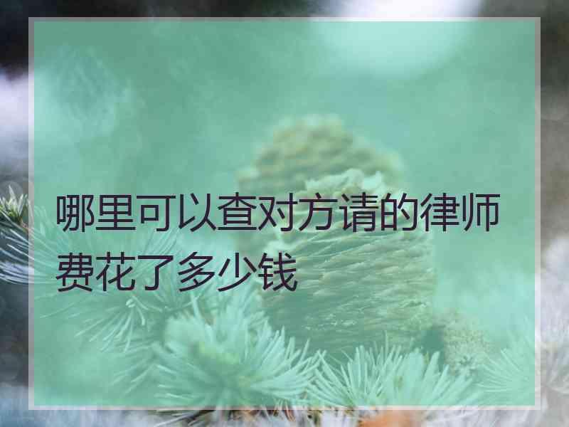 哪里可以查对方请的律师费花了多少钱