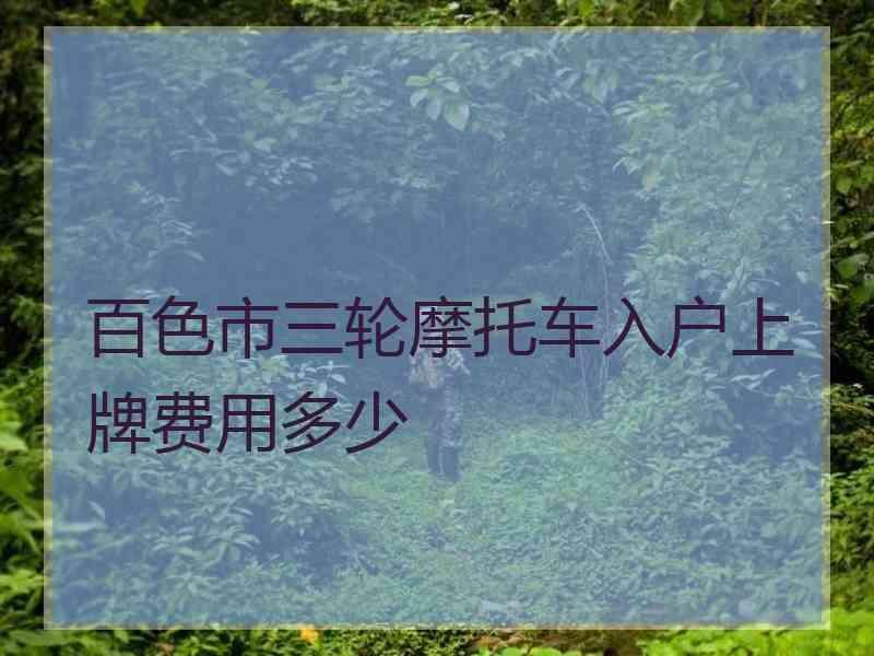 百色市三轮摩托车入户上牌费用多少