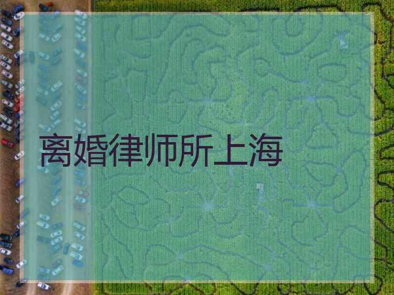 离婚律师所上海