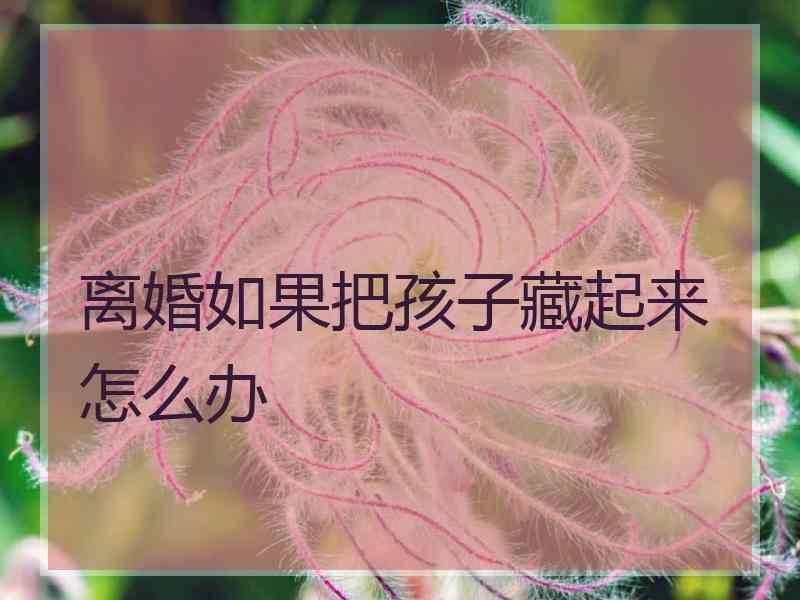 离婚如果把孩子藏起来怎么办