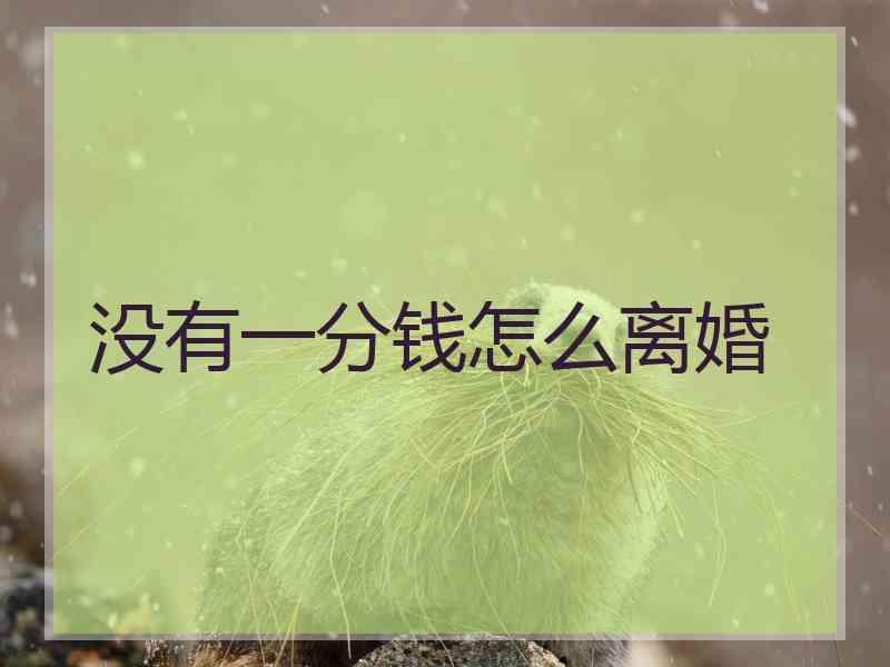 没有一分钱怎么离婚