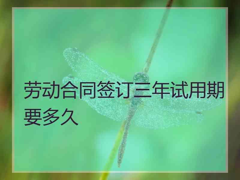 劳动合同签订三年试用期要多久