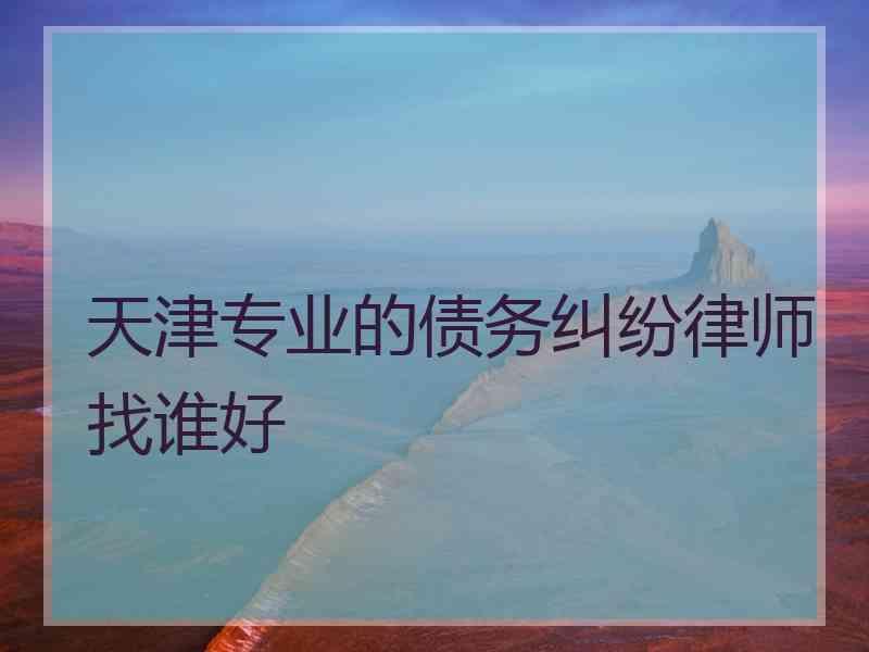 天津专业的债务纠纷律师找谁好