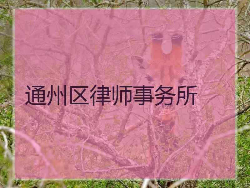 通州区律师事务所