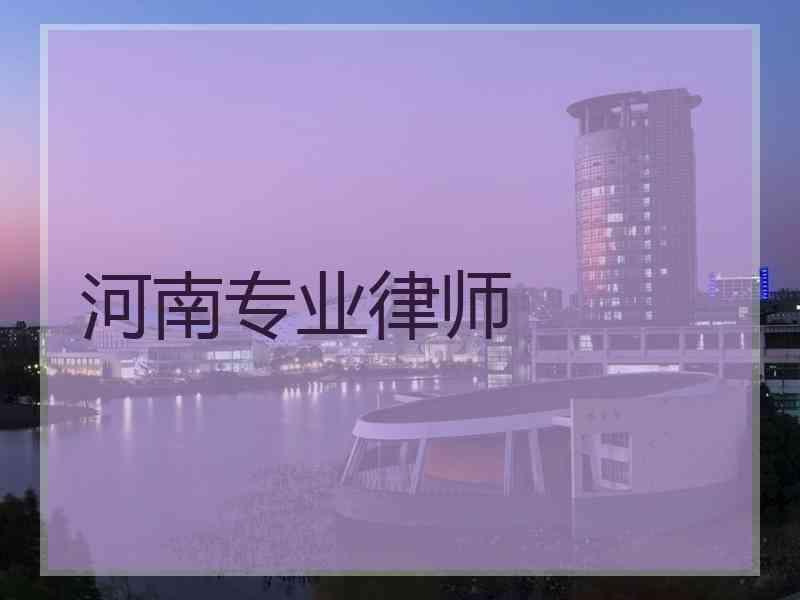 河南专业律师