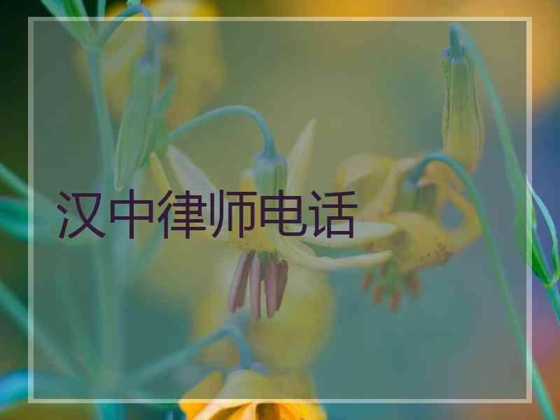 汉中律师电话