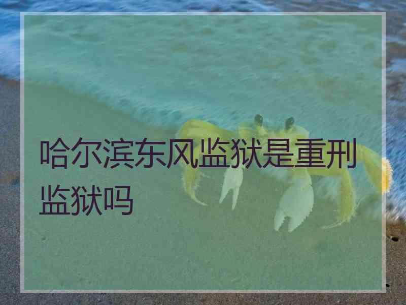 哈尔滨东风监狱是重刑监狱吗