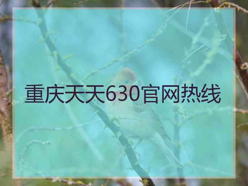 重庆天天630官网热线