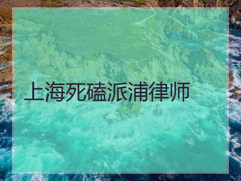 上海死磕派浦律师